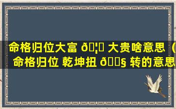 命格归位大富 🦉 大贵啥意思（命格归位 乾坤扭 🐧 转的意思）